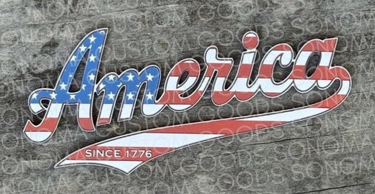 America Swoop Contour - LoneStar Adhesive