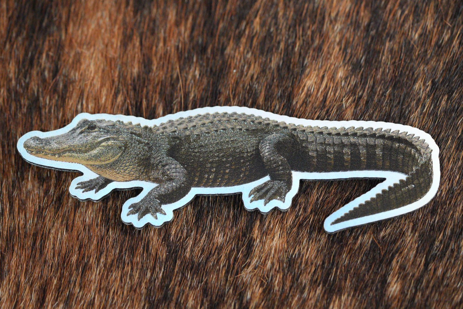 Die Cut UV Printed Texture Build Fish & Animal Patches - LoneStar Adhesive