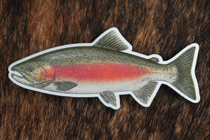 Die Cut UV Printed Texture Build Fish & Animal Patches - LoneStar Adhesive