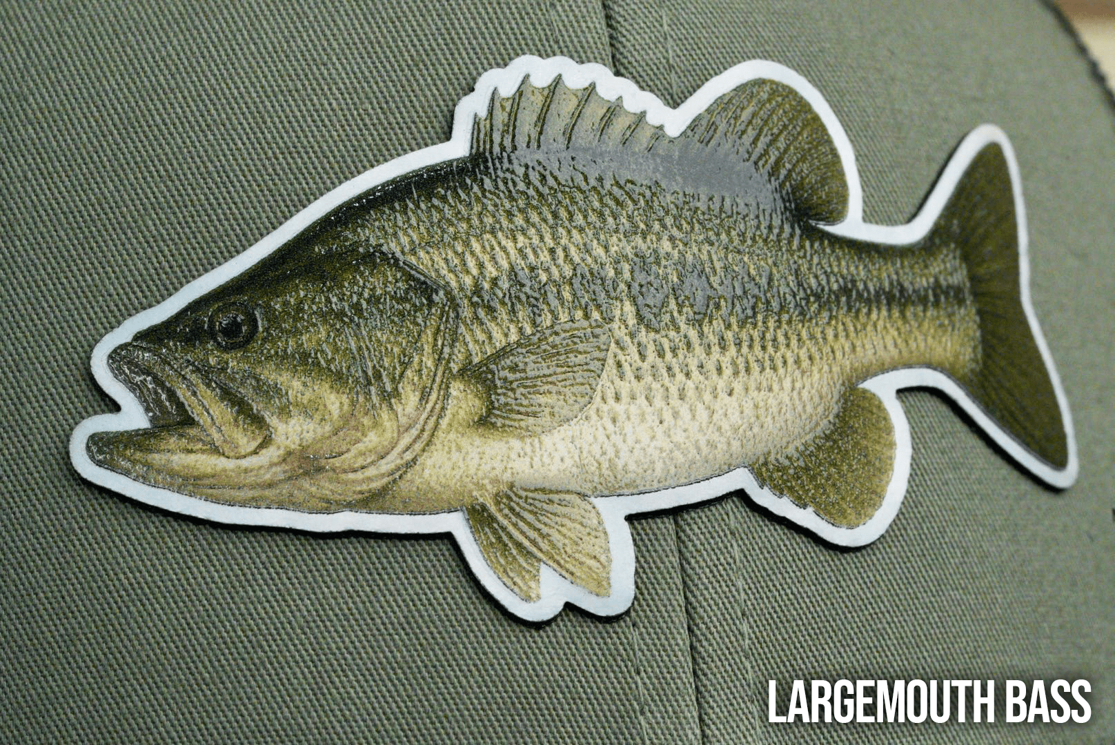 Die Cut UV Printed Texture Build Fish Patches - LoneStar Adhesive