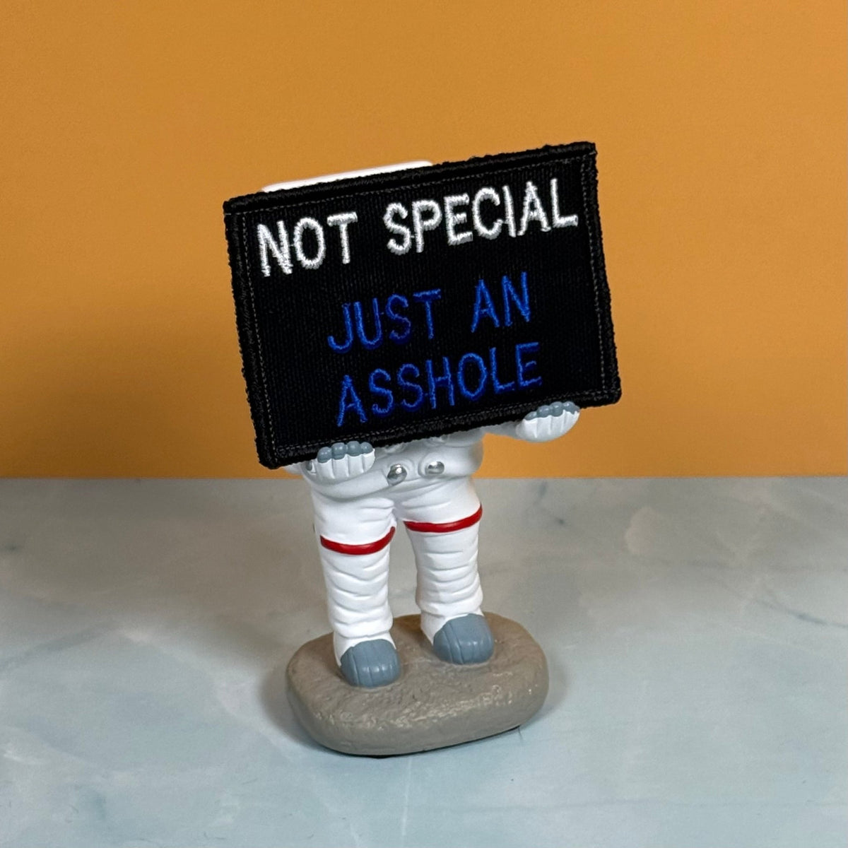 Not Special, Just An Asshole Funny Morale Patch, 2x3" | Made in USA | VELCRO® Brand Hook Backing - LoneStar Adhesive