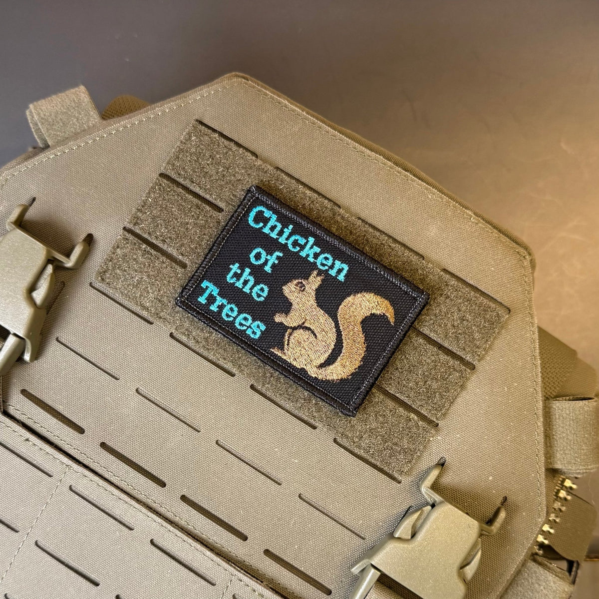 Squirrel, Chicken of the Trees Funny Morale Patch, 2x3" | Made in USA | VELCRO® Brand Hook Backing - #LoneStar Adhesive#
